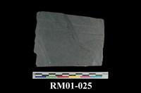 藏品(粘板岩)的圖片